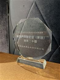 خa(chn)_l(f)I(y)F(tun)Nǰʮ(qing)